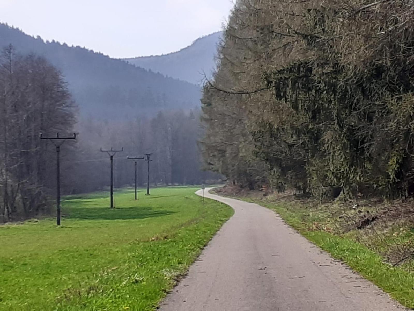 Otulina Dom W Gorach Stolowych Pod Szczelincem Pogranicze Pl-Cz Radkow Exteriör bild