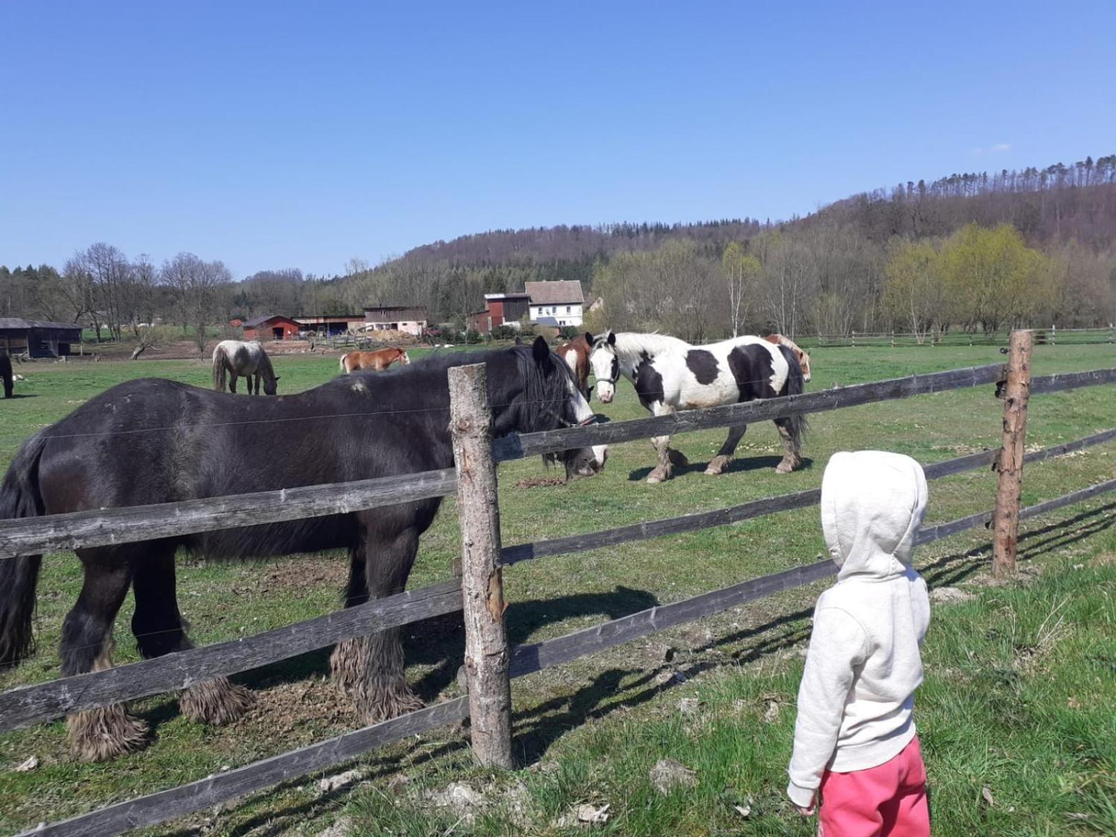 Otulina Dom W Gorach Stolowych Pod Szczelincem Pogranicze Pl-Cz Radkow Exteriör bild